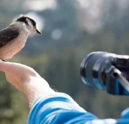 → PHOTOGRAPHY SPOTS